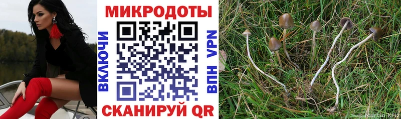 Галлюциногенные грибы ЛСД  как найти закладки  Ивангород 
